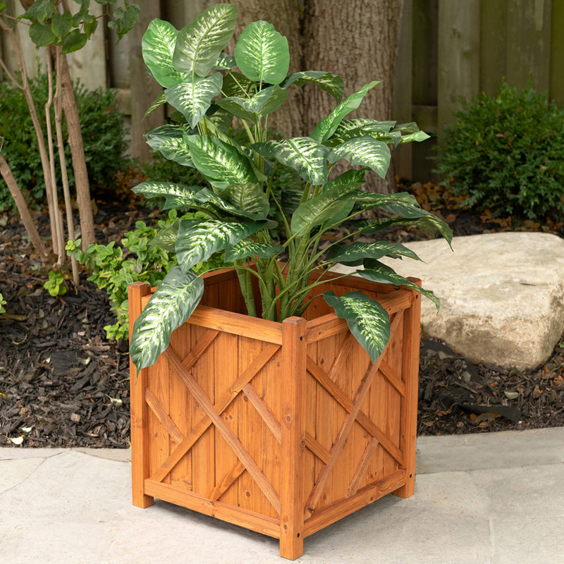 Leisure Season Decorative Planters Cypress Planter Box Wayfair